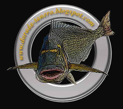 pescasurfcasting